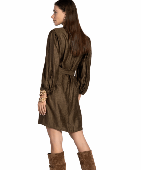 Semira jurk - brons - Afbeelding 5